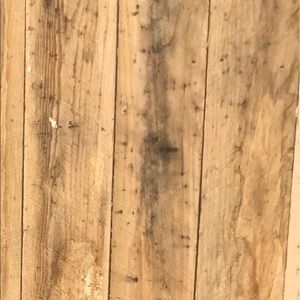 Meet your Posher, Alan